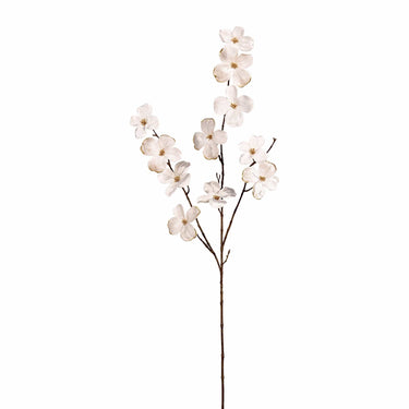 Flowers-Velvet Dogwood-Bloomr