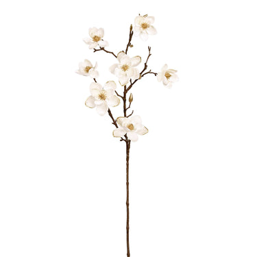 Flowers-Velvet Magnolia-Bloomr