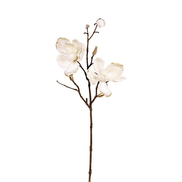 Flowers-Velvet Magnolia-Bloomr