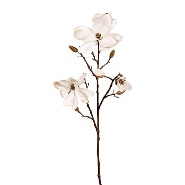 Flowers-Velvet Magnolia-Bloomr