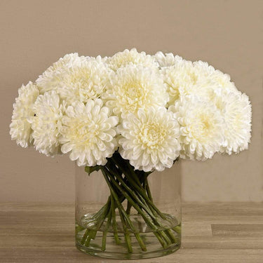Floral Arrangement-Artificial Chrysanthemum in Glass Vase-Bloomr