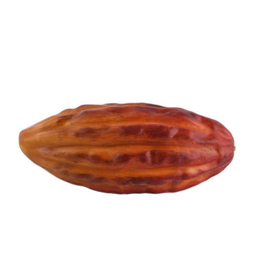 Fruits, Vegetables, Cakes & Bread-Artificial Cacao Fruit-Bloomr