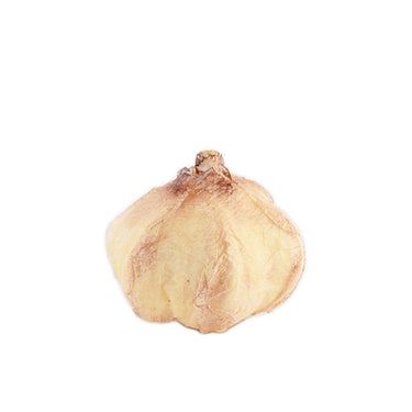 Fruits, Vegetables, Cakes & Bread-Garlic-Bloomr
