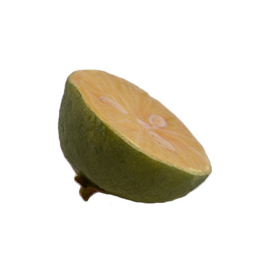 Fruits, Vegetables, Cakes & Bread-Lime-Bloomr