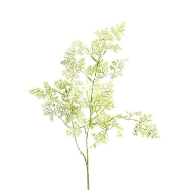 Greenery-Artenmisia-Bloomr