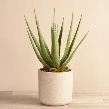 Plants-Artificial Potted Aloe-Bloomr