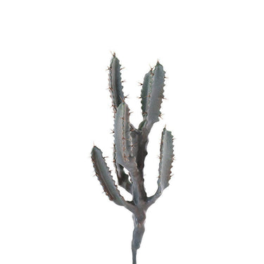Greenery-Cactus-Bloomr