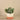 Greenery-Artificial Eucalyptus Arrangement in Ceramic Vase-Bloomr