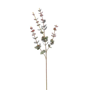 Greenery-Eucalyptus-Bloomr