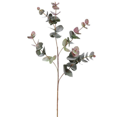 Greenery-Eucalyptus-Bloomr