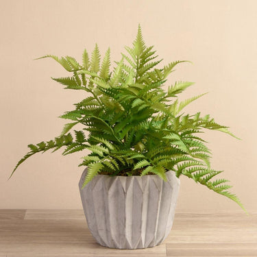 Greenery-Artificial Potted Fern-Bloomr
