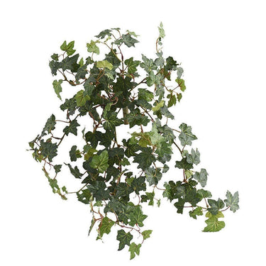 Greenery-Ivy-Bloomr
