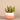 Greenery-Santa Fe Succulent Arrangement-Bloomr