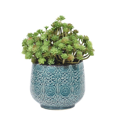 Greenery-Long Stem Potted Succulent-Bloomr