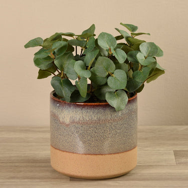 Greenery-Artificial Eucalyptus Arrangement in Ceramic Vase-Bloomr