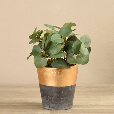 Greenery-Artificial Potted Eucalyptus-Bloomr