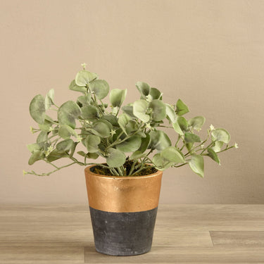 Greenery-Potted Silver Fall Plant-Bloomr