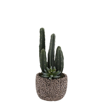 Greenery-Potted Columnar Cactus-Bloomr