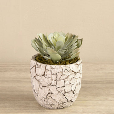Greenery-Artificial Succulent in Pot-Bloomr