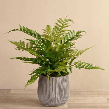 Greenery-Artificial Potted Fern-Bloomr