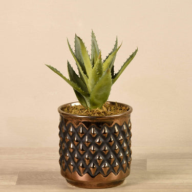 Greenery-Potted Aloe-Bloomr