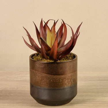 Greenery-Artificial Potted Aloe-Bloomr