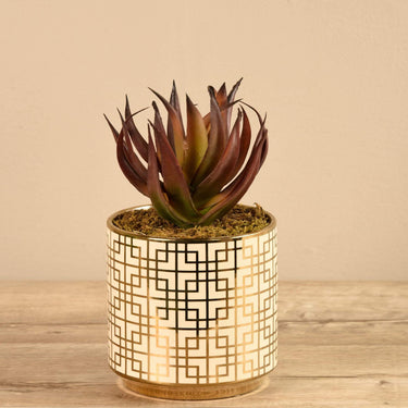 Greenery-Potted Aloe-Bloomr