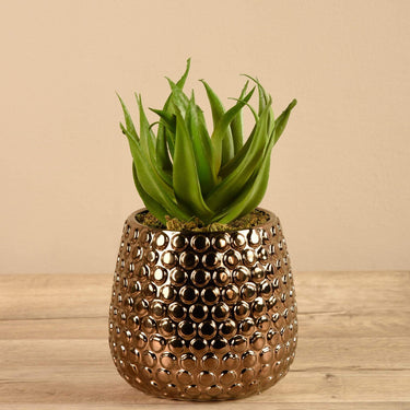 Greenery-Potted Aloe-Bloomr