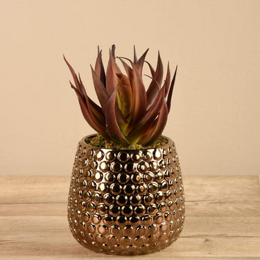 Greenery-Potted Aloe-Bloomr
