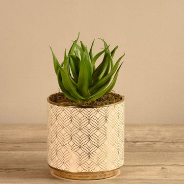 Greenery-Artificial Potted Aloe-Bloomr