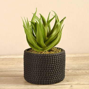Greenery-Artificial Potted Aloe-Bloomr
