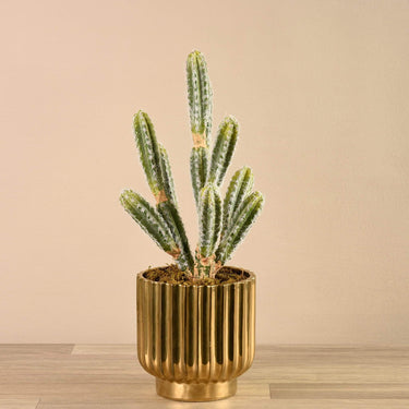 Greenery-Artificial Potted Cactus-Bloomr