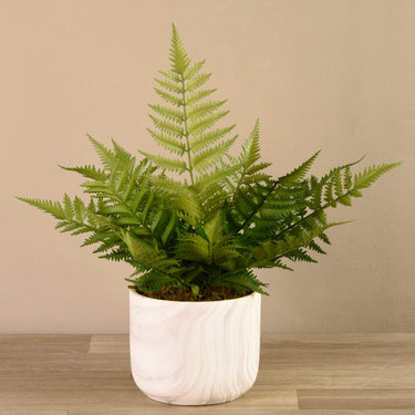 Greenery-Potted Fern-Bloomr