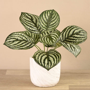 Greenery-Artificial Potted Peperomia-Bloomr