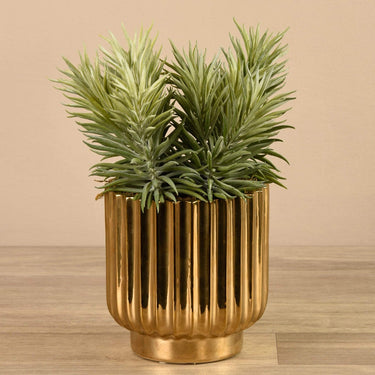 Greenery-Potted Succulent-Bloomr