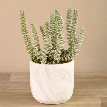 Greenery-Potted Succulent-Bloomr