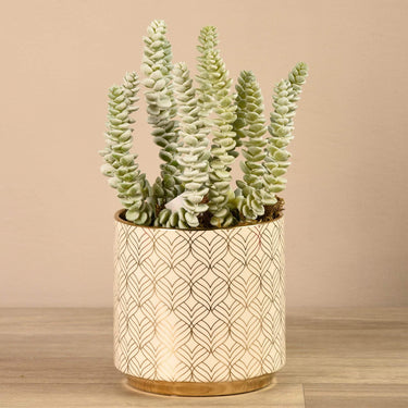 Greenery-Potted Succulent-Bloomr