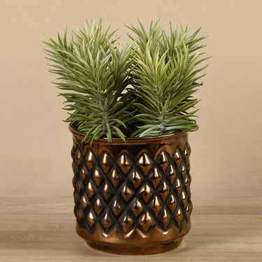 Greenery-Potted Succulent-Bloomr
