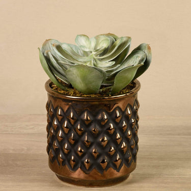 Greenery-Potted Succulent-Bloomr