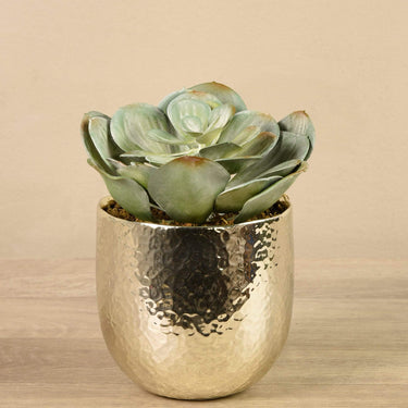 Greenery-Potted Succulent-Bloomr
