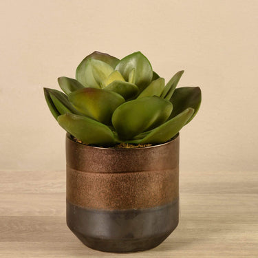 Greenery-Artificial Potted Succulent-Bloomr