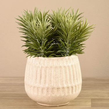 Greenery-Potted Succulent-Bloomr