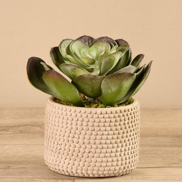 Greenery-Artificial Potted Succulent-Bloomr