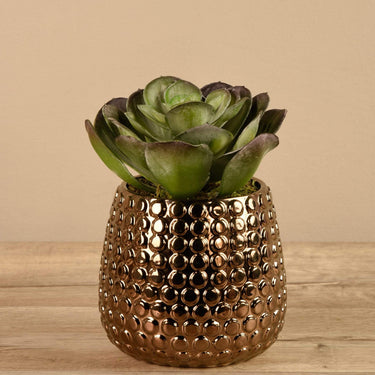 Greenery-Potted Succulent-Bloomr