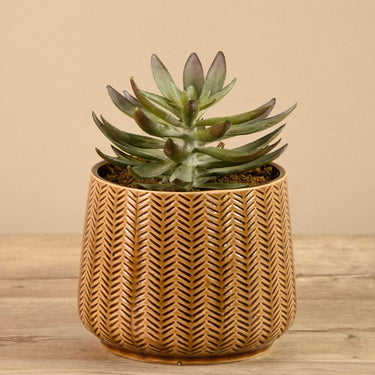 Greenery-Artificial Potted Succulent-Bloomr