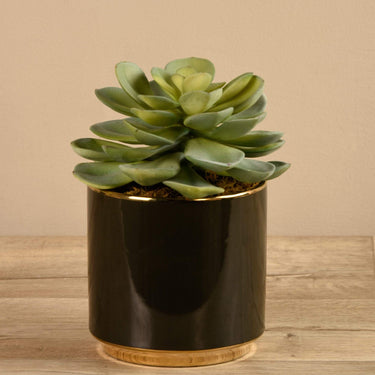 Greenery-Artificial Potted Succulent-Bloomr