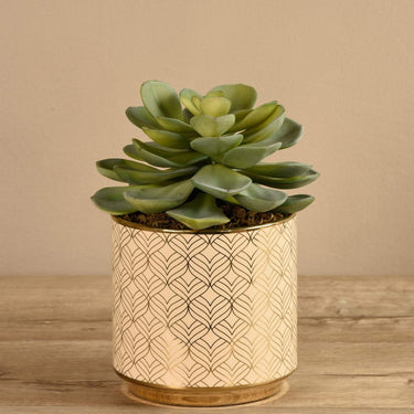 Greenery-Artificial Potted Succulent-Bloomr