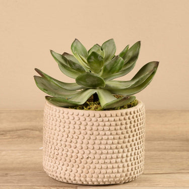 Greenery-Artificial Potted Succulent-Bloomr
