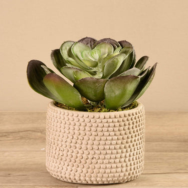 Greenery-Artificial Potted Succulent-Bloomr