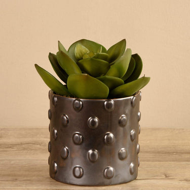 Greenery-Potted Succulent-Bloomr